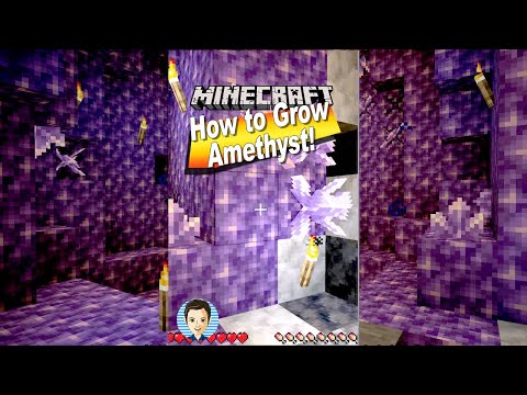 How You Can Grow Amethyst Crystals Cluster Shard in Minecraft - YouTube #shorts #minecraft