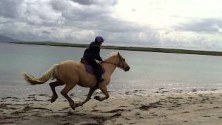 preview picture of video 'Galop on Ventry Beach'