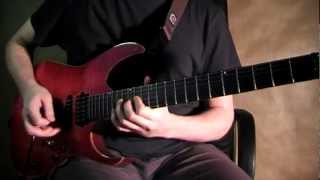 Joe Satriani - Crushing Day (Cover by Vladimir Shevyakov)