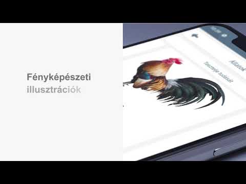 Tanuljon németül Video