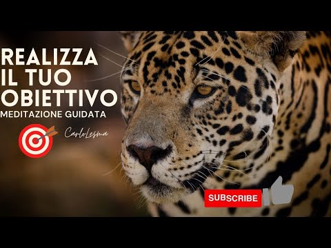 Achieve Your Goal - Guided Meditation to Realize Your Wishes and Goals