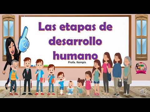 The stages of human development