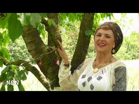 Bage-ntr-o seara de vara - Nicoleta Voica-Bagiu (videoclip NOU 2020)