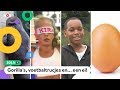 Dit waren de virals van het jaar