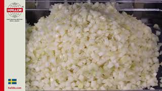 Onion: Dicing Grid 10x10x10 mm