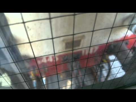 Taranto - Reggio Calabria D445 1147 - IC 558/559