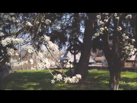 George Stephănescu (1843-1925): Piano sonata in G major (1863)