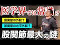 【筋トレ】股関節最大の謎を解明しました!!!