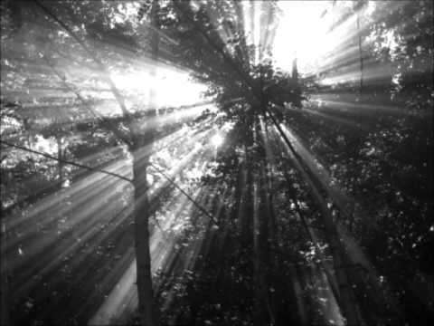 Muntagna Chieta - Vitalba