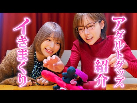 これがGDPRと大人のおもちゃの関係です