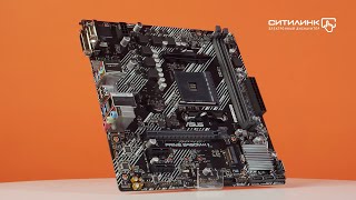 Материнская плата ASUS PRIME B450M-K II - купить в Ситилинк | 1423913