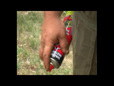 Ember és Lódarázs küzdelme a heggyen! - FullSD