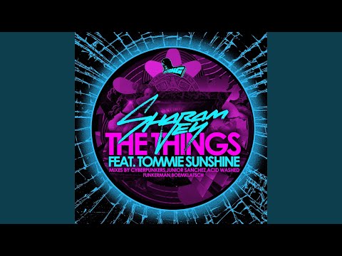 The Things (feat. Tommie Sunshine) (Radio)