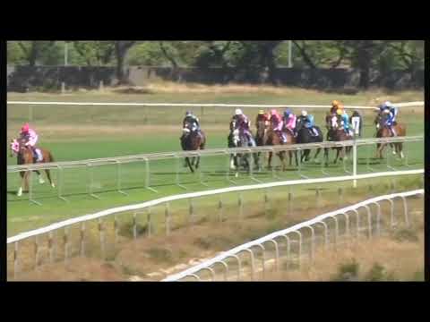 2020.12.12 Cape Summer Stayers Handicap (RSA) - Crome Yellow