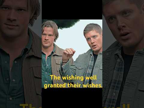 The wishing well granted their wishes.#shorts #shortvideo #series #foryou #supernatural