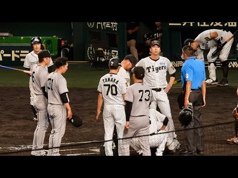 【甲子園 怒号】藤川監督 血相変えベンチ飛び出す。森下翔太 死球で途中交代。 2026.8.29対ジャイアンツ戦