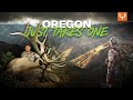 Oregon Archery Elk with Jason Phelps | It Just Takes One