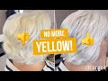 Remove Yellow From Gray Hair in Minutes | Fix Gray Hair Yellowing
