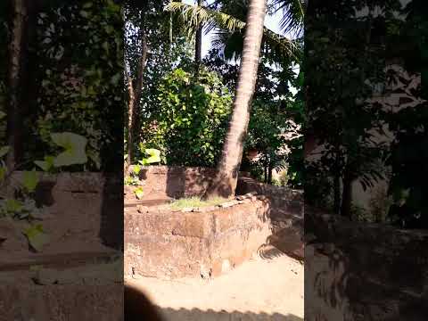 in my village || I am vanshu || #nature #beautiful