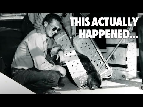 學校沒教的驚奇故事！你絕對不知道的祕辛！ (The Unexpected Stories You Never Learned in School)