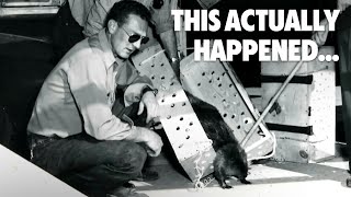 The Unexpected Stories You Never Learned in School