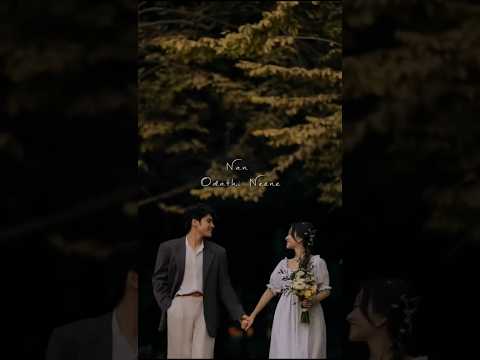 sum sumne yako WhatsApp status #shortsfeed#shortsviral#subscribe #ytshorts#status #love #viralsong