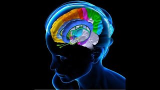 EEG Cloning Emotion with Mind Control Creating Depression, Bipolar, Fear, Anxiety, Paranoia, etc.