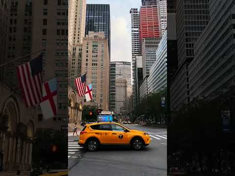 نیویورک سیتی