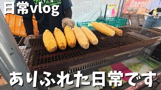 【日常vlog】ありふれた80代両親と過ごす日常です