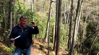 Lake Keowee Real Estate Expert Video Update April 2022 Mike Matt Roach