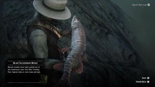 How to Reel in Legendary Fish SUPER FAST Red Dead Redemption 2