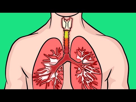 How to naturally breathe better if you have chronic bronchitis!