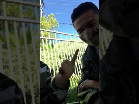 White Tyrone and the British Chinese cunt 🇨🇳🇬🇧