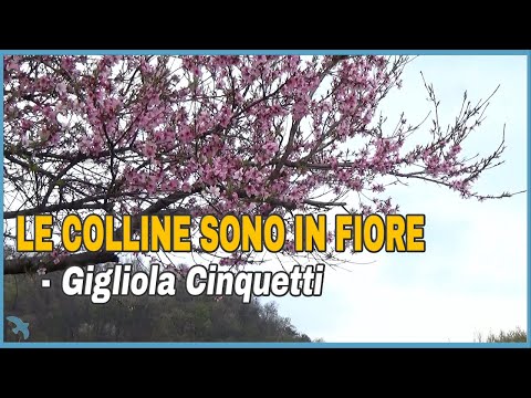 Gigliola Cinquetti - Le Colline Sono in Fiore(The Hills Are Flowering) (1978)