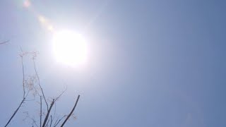 自然の法則 宇宙的法則 霊的法則 これは自然の法則作用です。