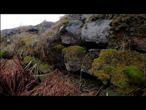 ABANDONED 1700's Highland Cottage - SCOTLAND