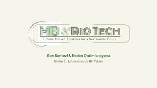 Gen Sentezi Kodon Optimizasyonu