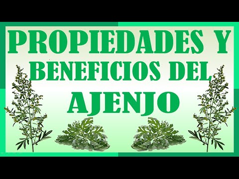Propiedades y beneficios del ajenjo