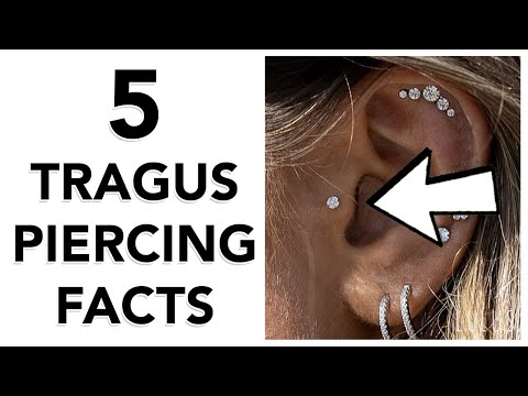 tragus piercing fogyás