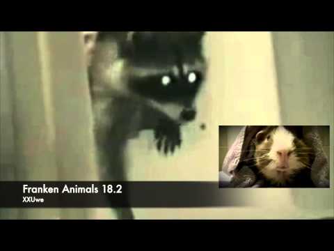 XXUwe - FRANKEN ANIMALS 18.2