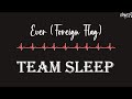 Team Sleep | Ever [Foreign Flag] (Karaoke + Instrumental)