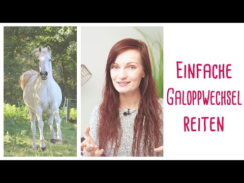 Einfacher Galoppwechsel: So klappt's!