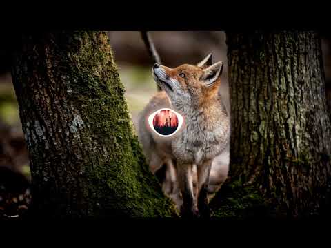 SNOOP x ELKA   JEALOUS  SVG REMIX  2021