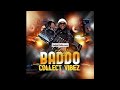 DJ Baddo Collect Vibez Mix 2025 Ultimate Naija Afrobeats Street Jamz