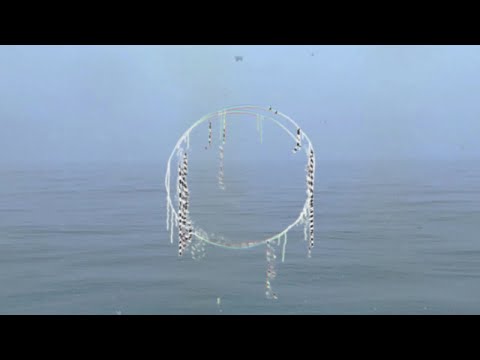 Video thumbnail for Slowlife