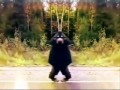 ТЕХНО-ЛЕШИЙ (Psychedelic Video Mix) .avi 