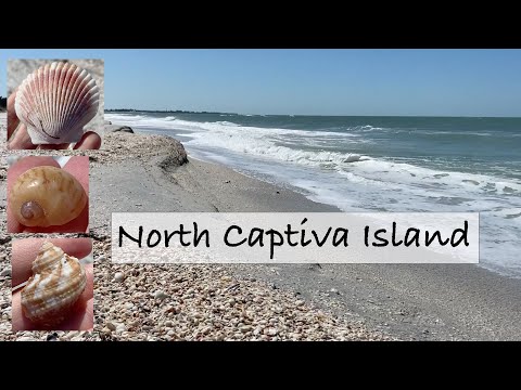 image-What are the top attractions to visit in Captiva?