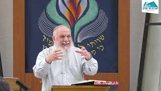 שיעור כללי - מסכת פסחים | הרב ברוך גיגי | גדרי חיוב בכורה וחלה בבהמה ועיסת ארנונא (ישיבת הר עציון) - התמונה מוצגת ישירות מתוך אתר האינטרנט יוטיוב. זכויות היוצרים בתמונה שייכות ליוצרה. קישור קרדיט למקור התוכן נמצא בתוך דף הסרטון