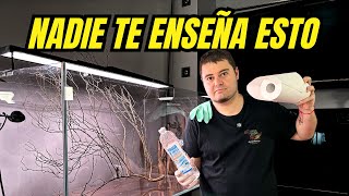 DESMONTAMOS un ACUARIO 💔 (Paso a Paso) #firemouthaquaristic
