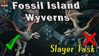 OSRS Fossil Island Wyvern Guide NEW META